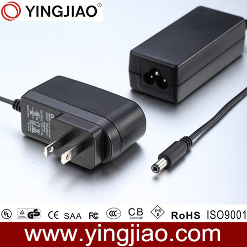 30W Switching Power DC Adapter