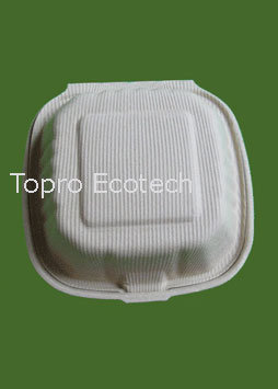 Biodegradable Tableware/Disposable Tableware/Molded Fibre Tableware
