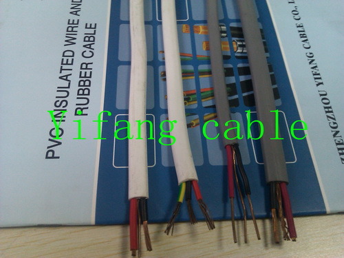 Twin and Earth Flat Wire