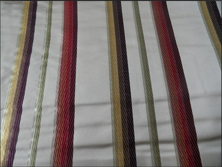 Silk Fabric - 4