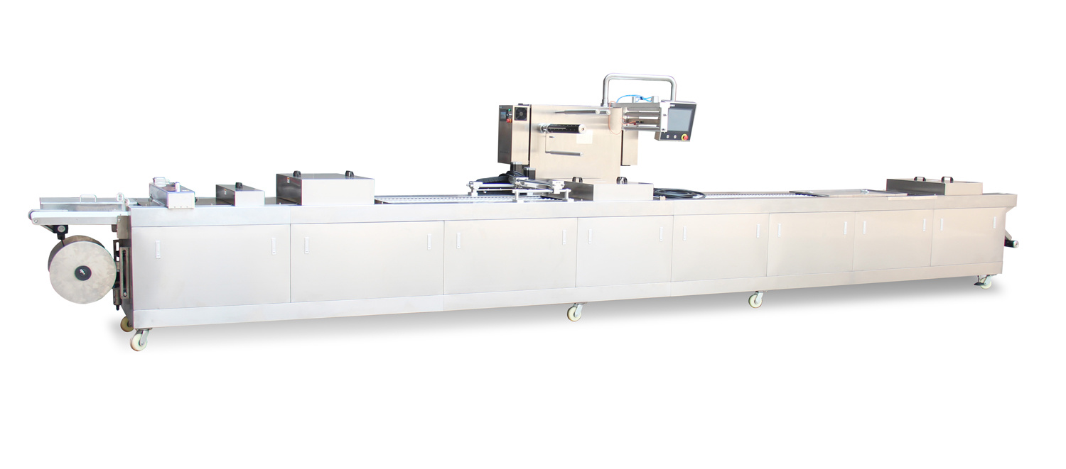 Automatic Thermoforming Vacuum Map Packing Machinery with CE