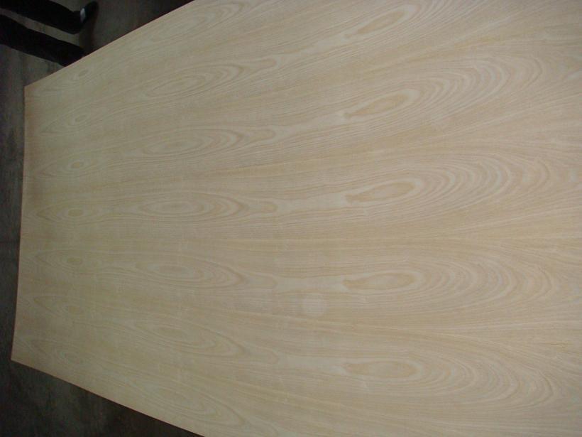 Ash Plywood in Natural Veneer