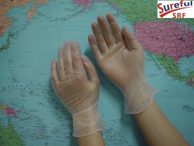 Powdered Free PVC Exam Glove for Food Service