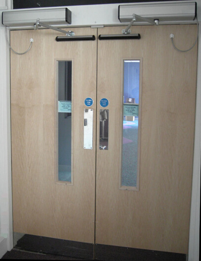 Profession Product Automatic Swing Door Low Price (DS-S180)