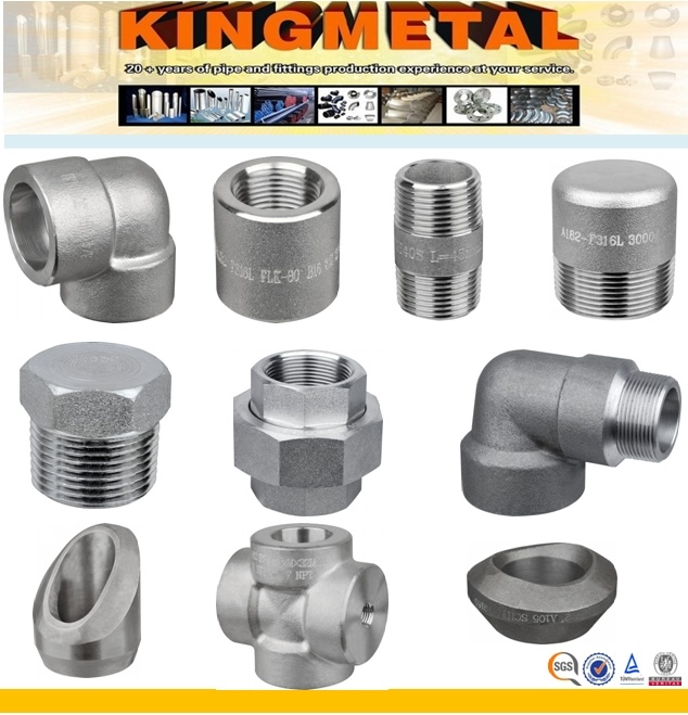 Stainless Steel High Pressure Forged Fittings