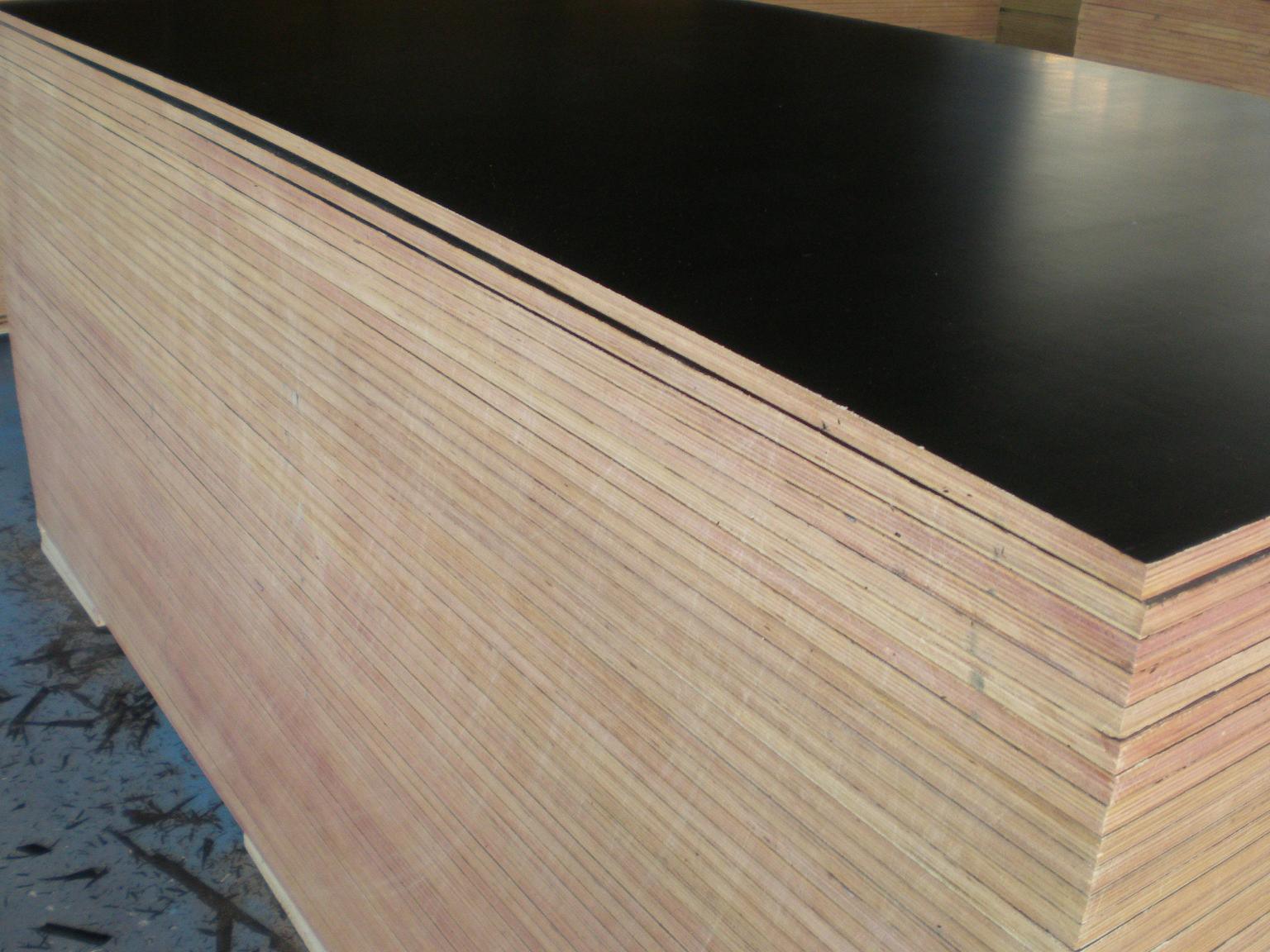 Wear and Alkaline Resistant Eucalyptus Core Film Faced Plywood (15mm)