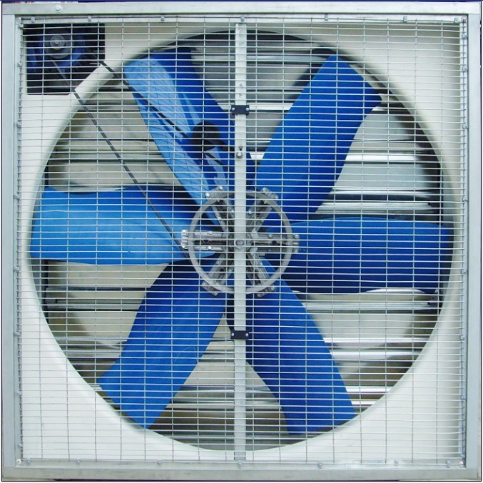 36'' Direct Drive, Galvanized 6 Blade Whirl-Wind Box Exhaust Fan