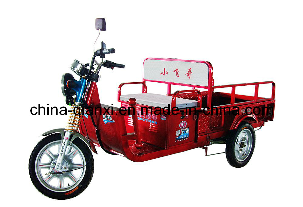 Electric Tricycle Qxpg504812