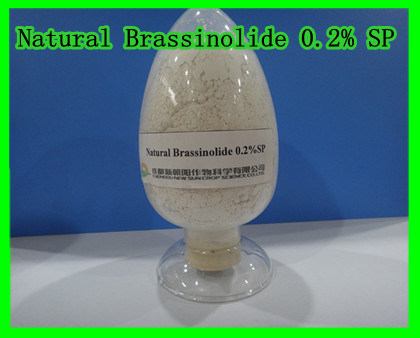 Natural Brassinolide 0.2% Sp-Plant Hormone