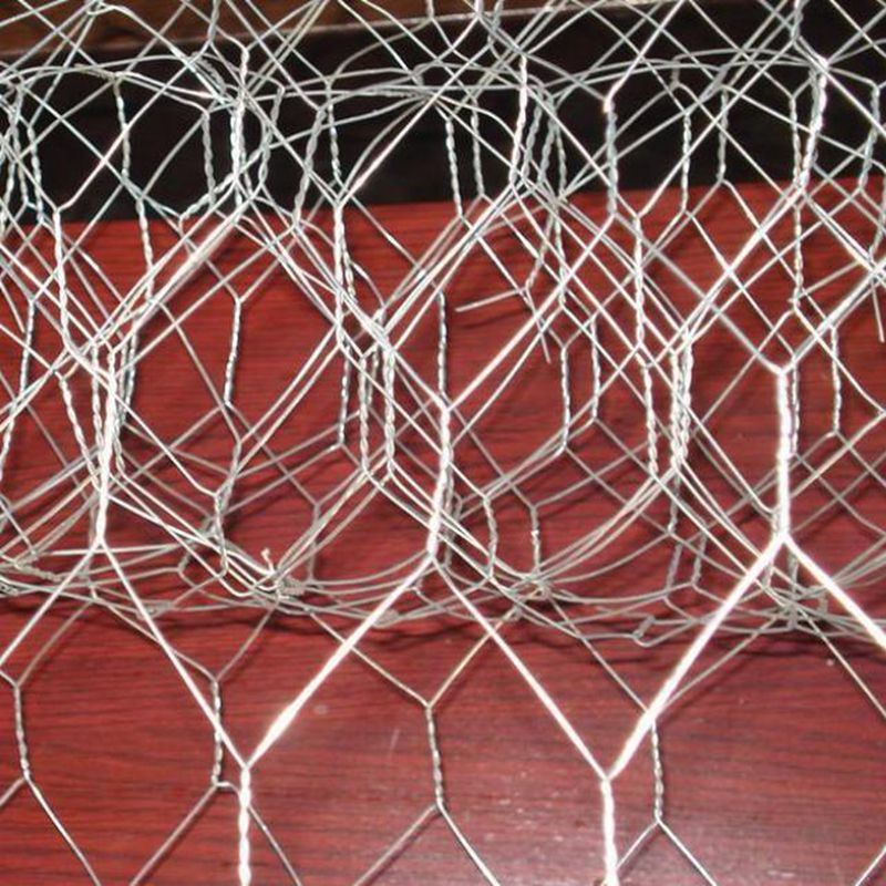Plastic Coated Hexagonal Wire Mesh