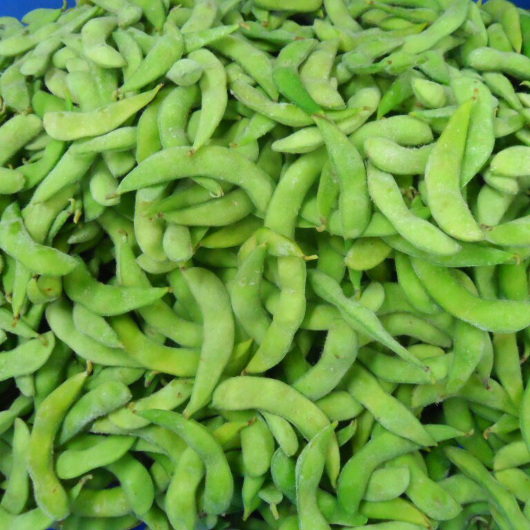 New Crop IQF Frozen Vegetables Green Soybeans