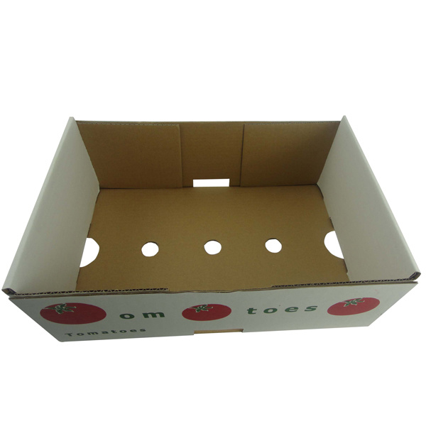 Fresh Fruit Packaging Box (FP4144)