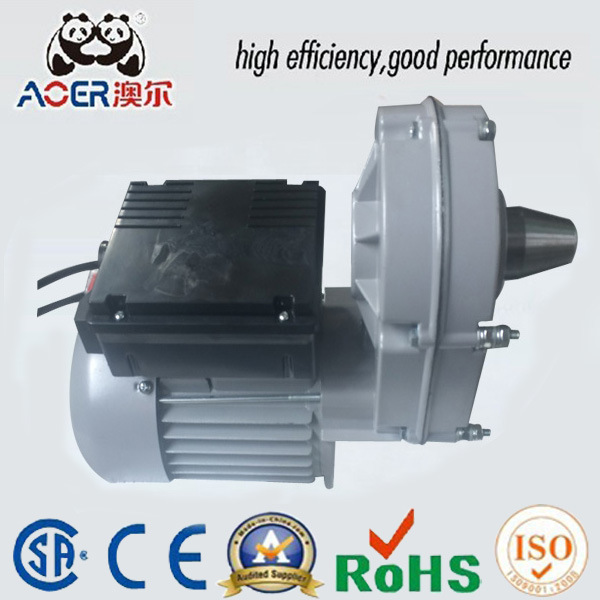 AC Single-Phase Low Rpm Gear Electric Motor Outboard Engine