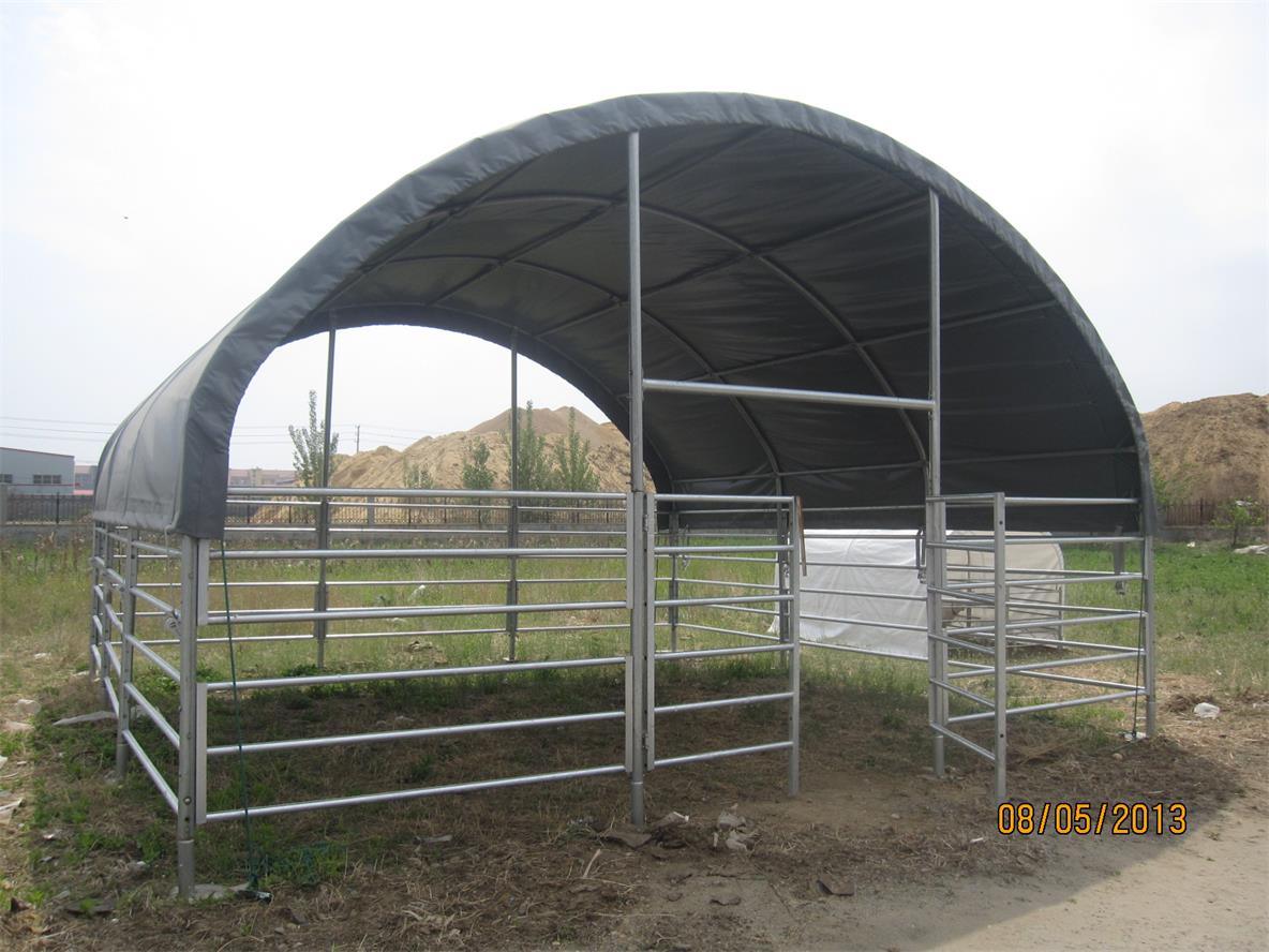 Cattle Calf Sheep Goat Livestock Tents