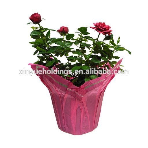 Christmas BOPP Pot Cover for Flower/Plant Wrapping, Packaging, Fastwraps