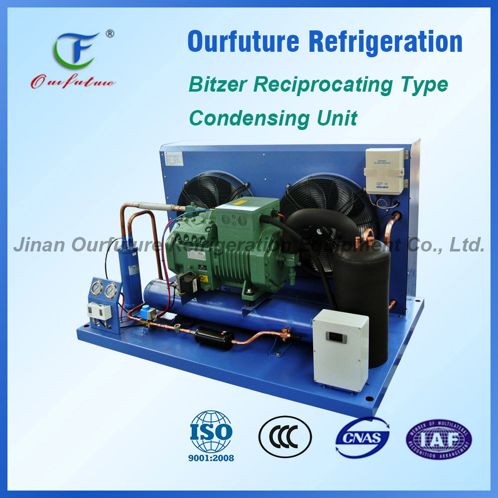 Bitzer Piston Type Condensing Unit for Cold Room