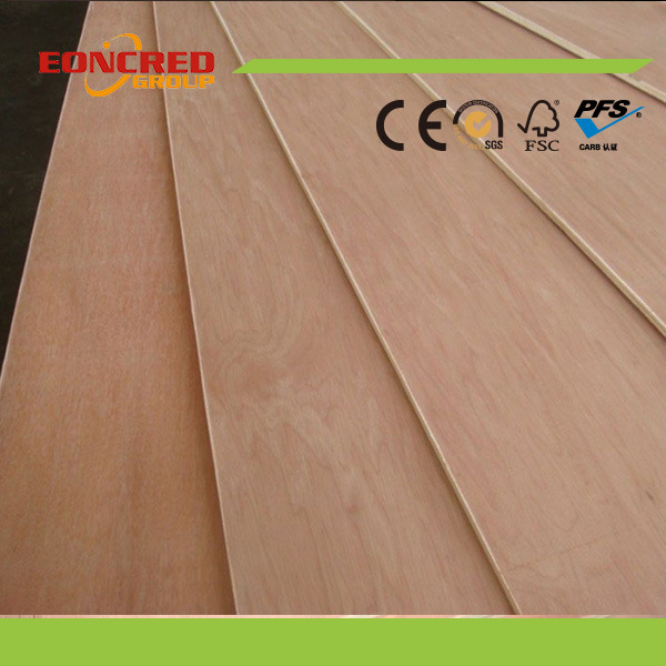 18mm Plywood/ Melamine Plywood with Good Price