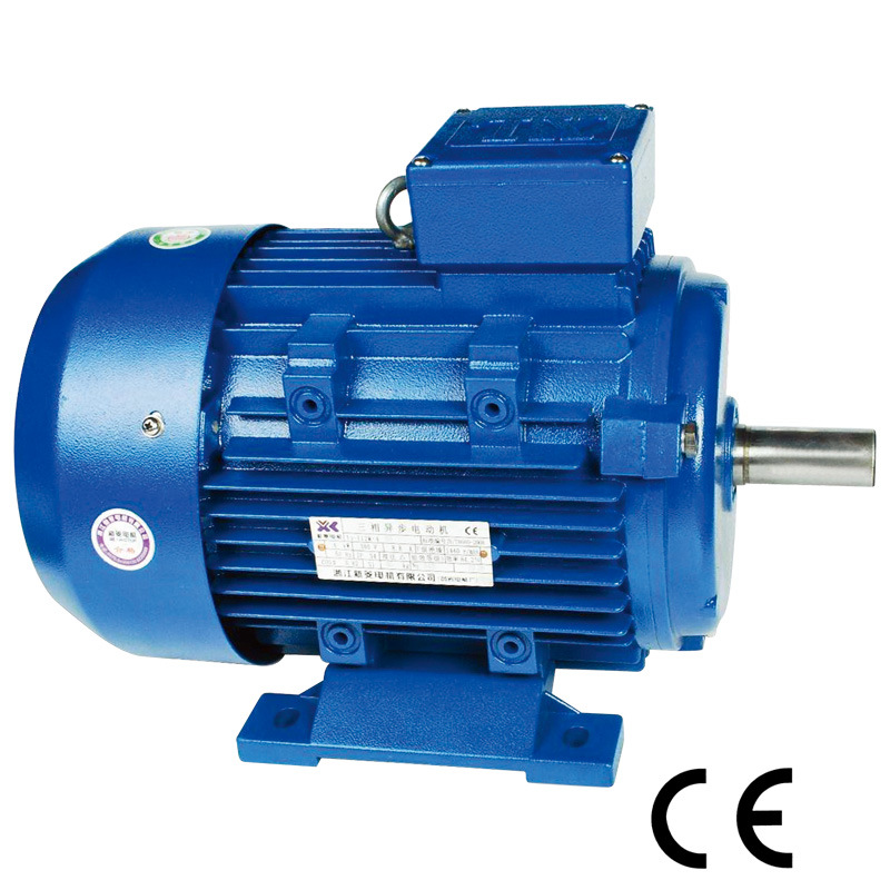 2.2kw Electric Motor