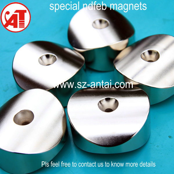 Special NdFeB Magnets/Special Rare Earth Magnets