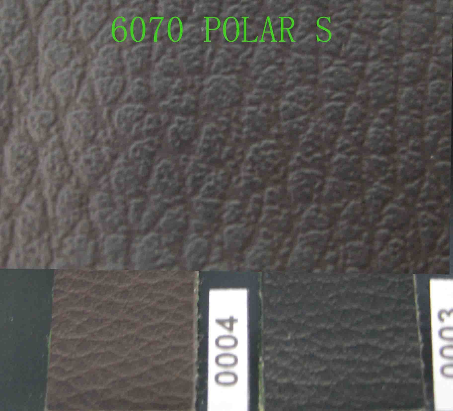 6070 Polar S