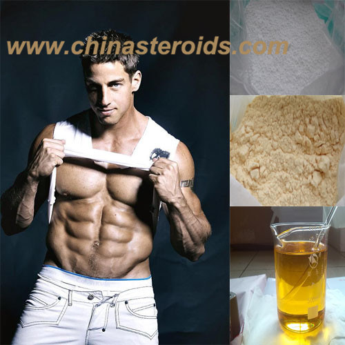 Bodybuiding Raw Steroids Nandrolone Cypionate 601-63-8 Pharmaceutical Intermediate