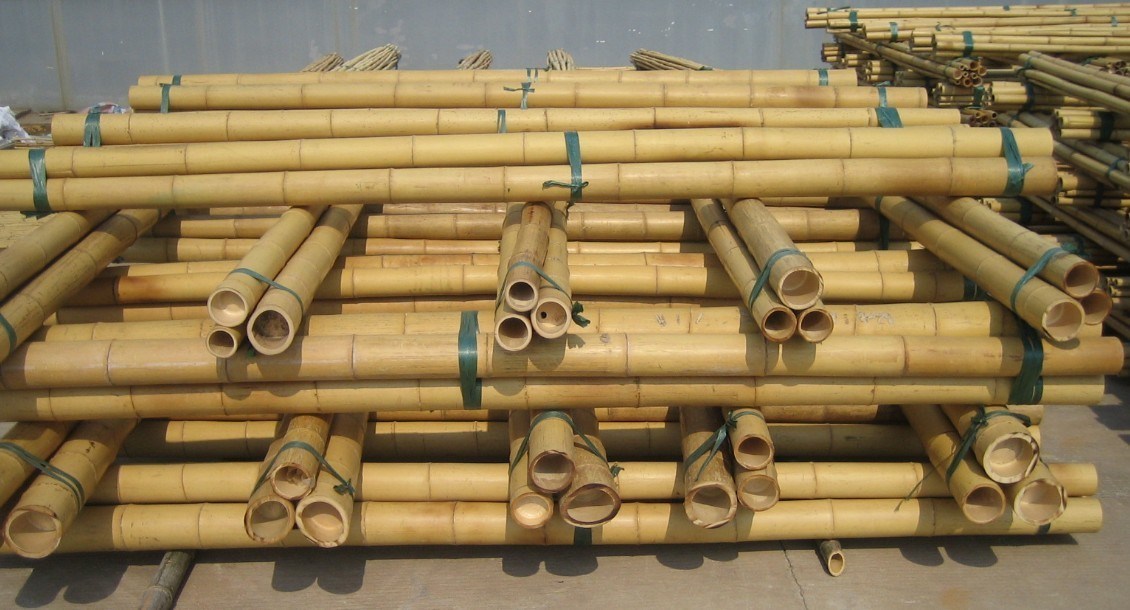 Yellow Bamboo Pole