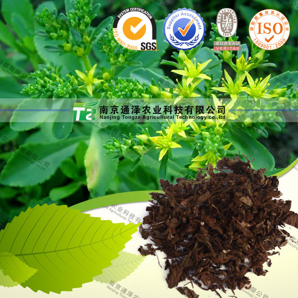 Natural Herbal Midicine Raw Material Herba Agrimoniae