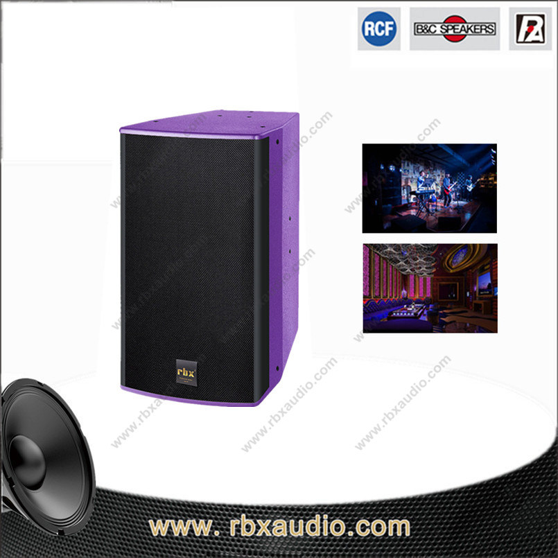 Dw-10 Single 10 Inches 2-Way Neodymium Woofer Karaoke