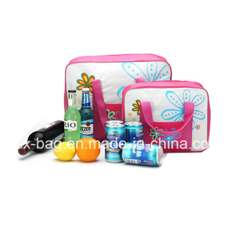Insulated Collapsible Cooler Bag for Holiday