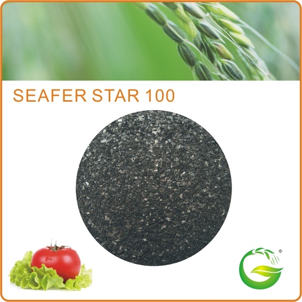 Bio Organic Seaweed Extract Fertilizer