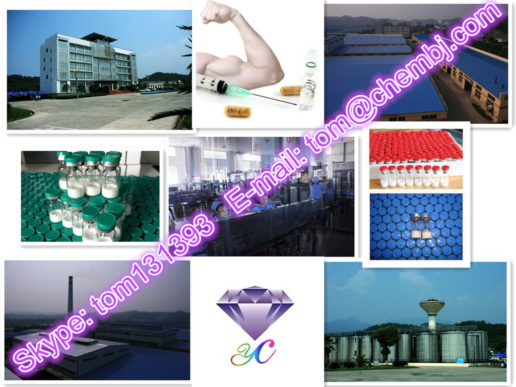 Shortest Ester with Short Acting Effects Muscle Building Steroid Testosterone Propionate CAS: 57-85-2