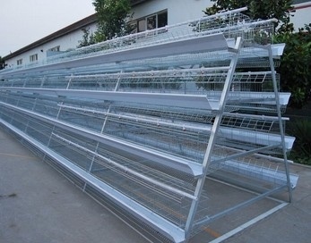 Layer Poultry Cage