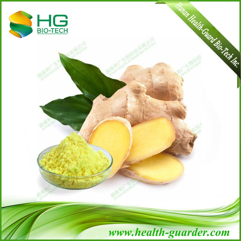 Ginger P. E Water-Soluble Ginger Extract Plant Herb Extract Food Additive