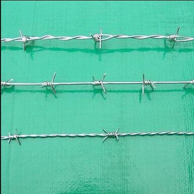 Security Fence/ Barbed Wire Mesh