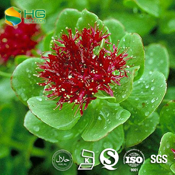 Rhodiola Rosea Powder Extract for Cosmetic and Beauty Products