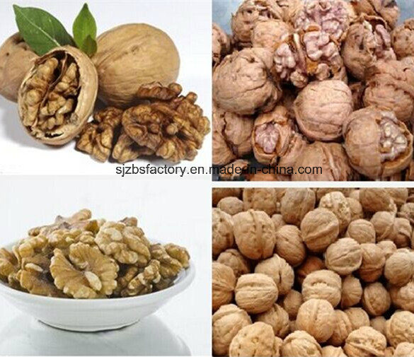 2015 Chinese Organic Raw Walnuts in Shell