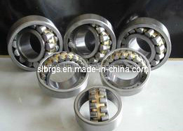 2013 The New Self Aligning Ball Bearing (2209)