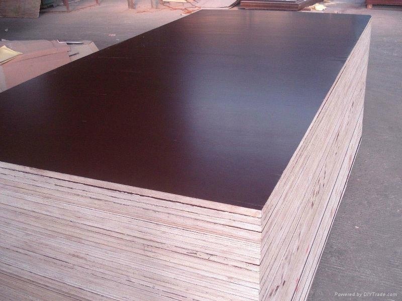 Melamine Glue Film Faced Plywood ISO9001: 2000 Standard (15mm)
