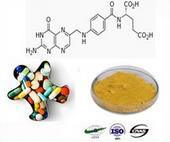 Folic Acid/Vitamin B9 Food Additives