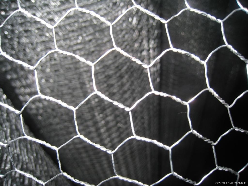 Galvanized Hexagonal Wire Netting (Chiken Nettting)