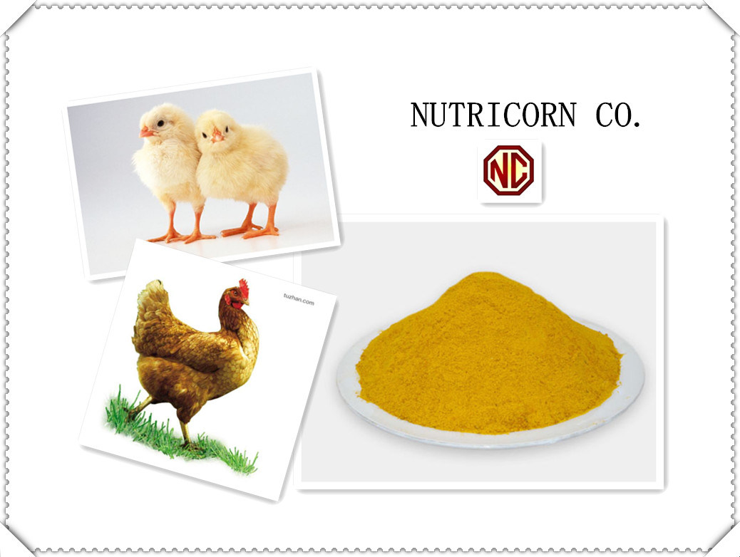 Nutricorn Corn Gluten Meal Feed Additive for Chicken