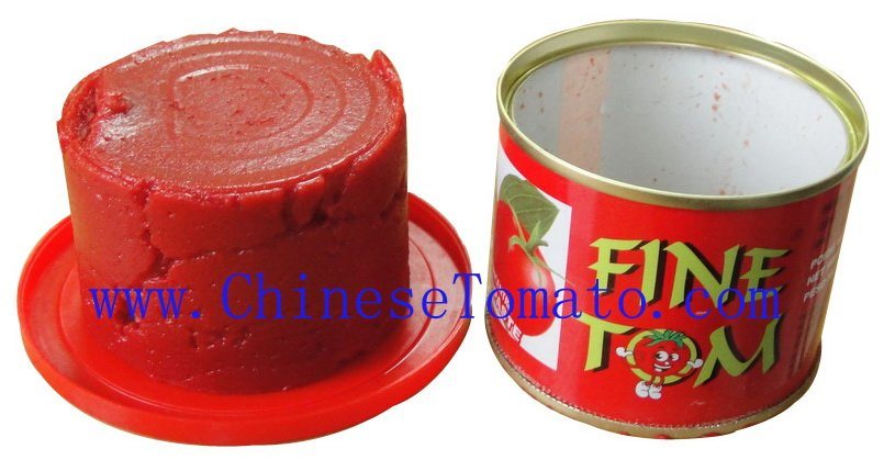 Canned Food, Canned Tomao Paste, Canned Vegetables