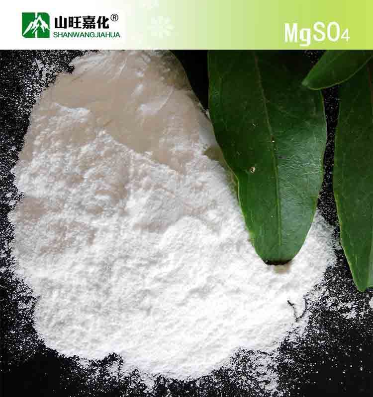 Fertilizer Magnesium Sulphate Monohydrate Powder