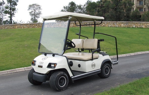 White 2 Seat Electric Golf Car (LT_A2)