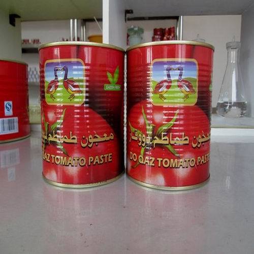 Canned Tomato Paste (400GR)