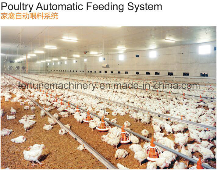 High Quality Poultry Feeding Equipment