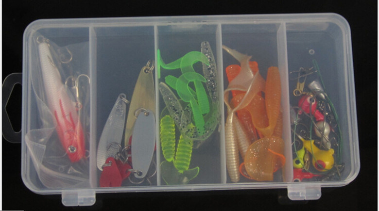 5 Compartment Clear Organized Lure Box