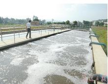 Papermaking Wastewater Treatment Plant