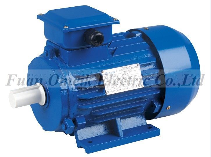 Y2 Seires Three-Phase Induction Motor