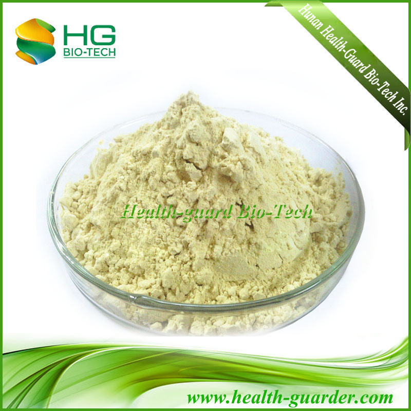 Gingerol 5-20% HPLC/Ginger Extract (Zingiber Officinale)